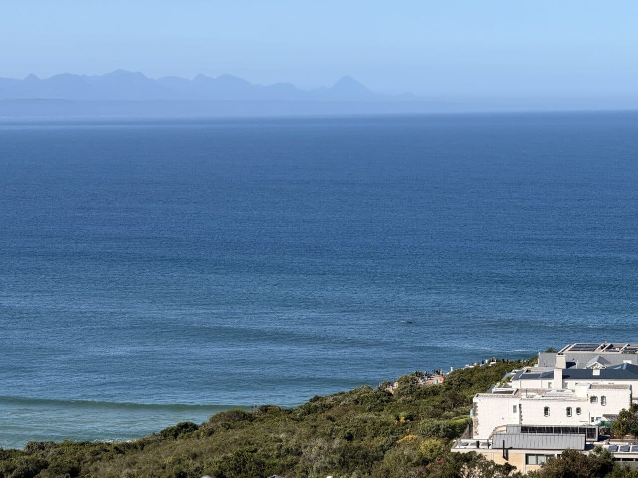 Forever Views -Above it all for Whale watching